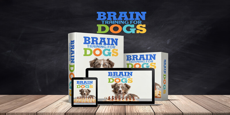 Brain Training for Dogs course dashboard