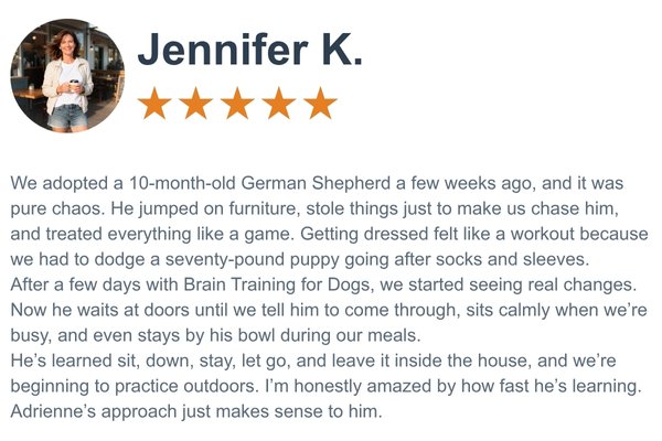 Dog owner testimonial 4